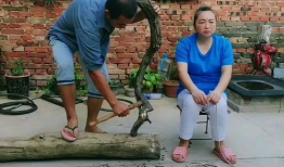 农村搞笑视频,农村搞笑视频大盘点