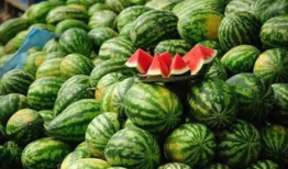 网红吃瓜黑科爆料,揭秘娱乐圈背后的惊人真相