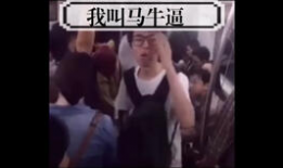 马视频,探寻马儿风采的视觉盛宴