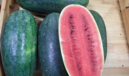 网红吃瓜黑科爆料,揭秘娱乐圈背后的惊人真相